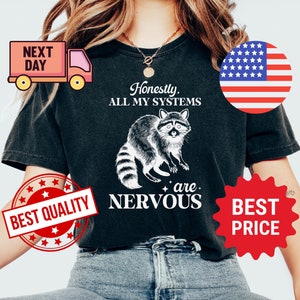 Honestly All My Systems Are Nervous Vintage 90s Funny Racoon Comfort Colors Shirt, Retro Y2k Boho Aesthetic, Cute Raccoon Nervous TShirt