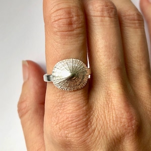 Silver Shell Ring, Silver Limpet Ring, Mermaid Shell Ring, Beach Lover Ring, Tropical Silver Shell Ring
