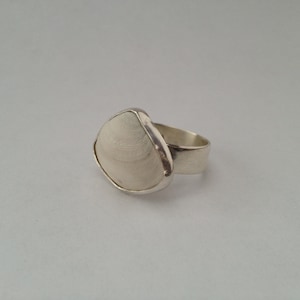 White Clam Shell Ring, Mermaid Jewelry, Shell Collector Ring made with Sterling Silver - Shell Collection