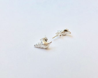 Mini Adventure Shell Earrings, Sterling Silver Shell Studs, Mermaid Shell Earrings