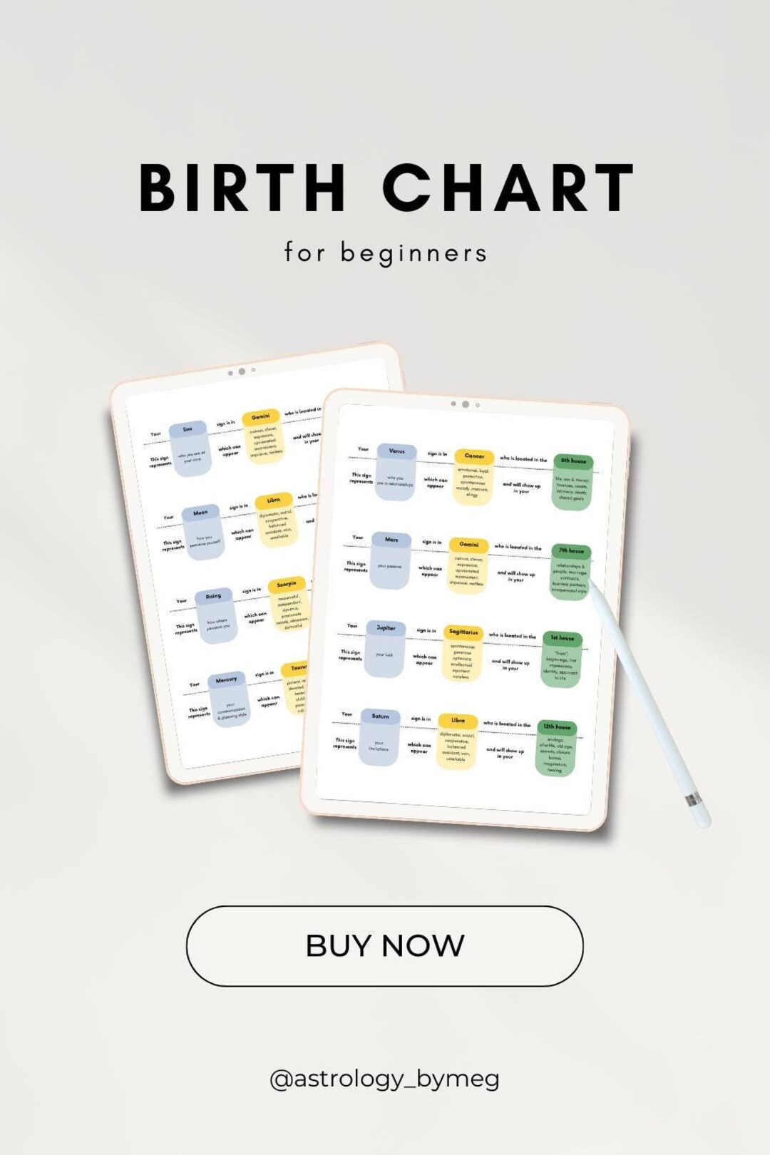 Visual Birth Chart Birth Chart Guide Reading - Etsy