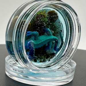 Nessie Pocket Cryptids Custom Handmade Diorama Cryptid Craftwork; Loch Ness Monster