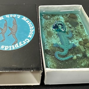 Nessie Matchbox Cryptids Custom Handmade Diorama Cryptid Craftwork; Loch Ness Monster