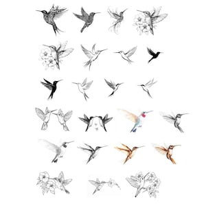 Hummingbird PNG Bundle, Floral Hummingbird Clipart, Hummingbirds, Bird, Hummingbird, Colibri, Hummingbird Graphic
