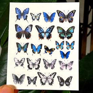 May include: A sheet of colorful butterfly stickers with a variety of blue, green, and black butterflies. The butterflies are arranged in a grid pattern on a white background.