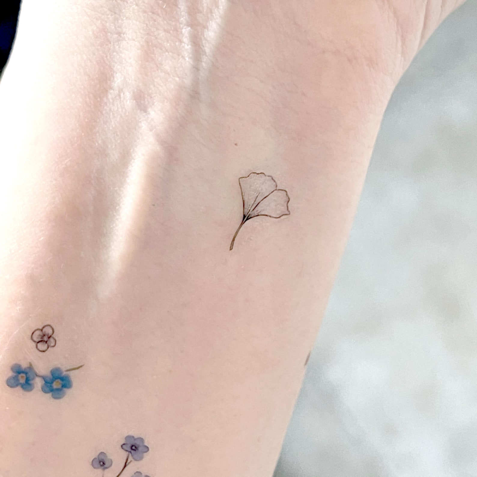 Temporary Tattoo Sheet Ginkgo, Ginkgo Tattoo Design, Tiny Tattoos ...
