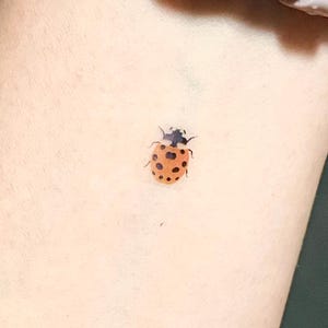 May include: A small, orange ladybug tattoo with black spots on a person's skin.