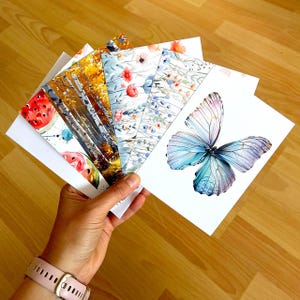 Set van 5 ansichtkaarten: collectie unieke kunstwerken en wenskaarten met verschillende motieven, bloemen, ansichtkaart, watermeloen, vlinder, bos