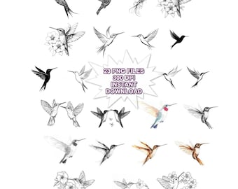 Floral Hummingbird Clipart PNG Bundle for Cricut, Watercolor Bird Graphics, Instant Download, (Digital Download)