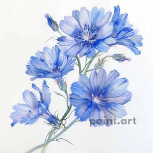 Chicory Printable Art, Digital Art Print, Flower Wall Art, Home Decor, Printable Digital Art, Unique Digital Painting, Floral Motive Decor