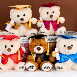 Personalized Graduation Bear 2025 Custom Grad Teddy Graduation Gift Graduation Teddy Bear Preschool Graduation Gift College Grad Gift
