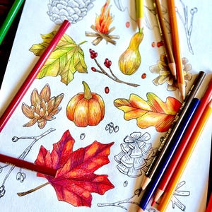 Autumn Essentials Coloring Page