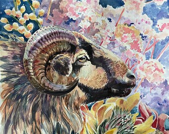 Curly Horned Sheep Ram Watercolor 8x10" Giclee Print "Curly Horned Sheep"