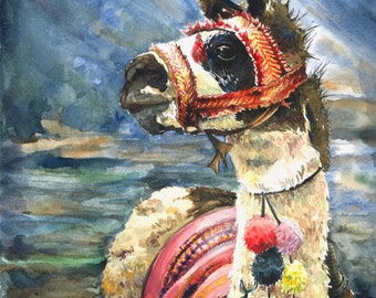 Llama Colorful Watercolor 8x10" Giclee Print "Llama"