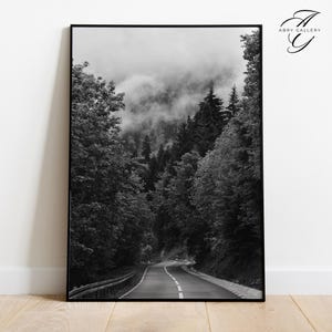 May include: A black and white photograph of a winding road through a dense forest. The road is lined with trees on both sides, and the forest is shrouded in fog. The road leads to a mountain range in the distance.