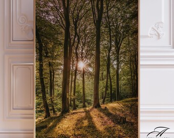 Green Forest Wall Art: Giclée Nature Landscape Print