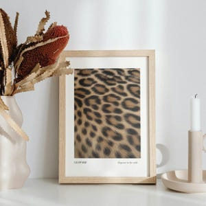 Leopard Wall Art, Leopard Pattern Poster, Aesthetic Trendy Photography Definition PrintPreppy Typography Above Bed Bedroom Wall Decor
