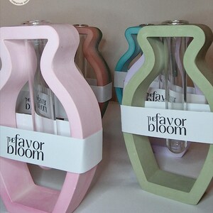 May include: Four ceramic vases in pink, green, blue, and brown with a white label that reads "The Favor Bloom". Each vase has two glass test tubes inside.