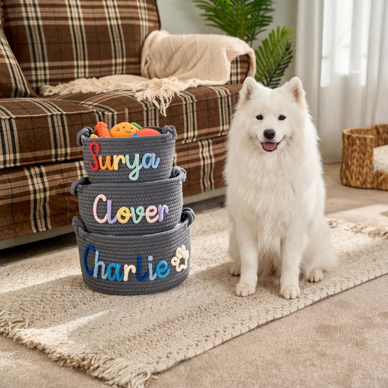 Personalisierter Spielzeugkorb für Hunde • Haustier Geschenk • Haustier Organizer • Handgemachtes I-cord Craft Bild 4
