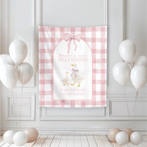 Silly Goose Baby Shower Backdrop, Adorable Goose Party Decor, Little Goose Theme, Vintage Goose, Fun Celebration Photo Props Pink