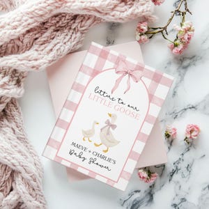 May include: A baby shower guest book with a pink gingham pattern and the words "letters to our LITTLE GOOSE". The cover features illustrations of two geese with bows and the names "Maeve + Charlie's Baby Shower".