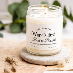 Assistant Principal Candle, Appreciation Gift for Teacher, Vice Principal Gift, Funny Candle, Retirement Gift