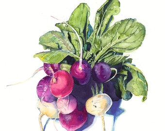 May include: A bunch of radishes with green leaves. The radishes are a mix of red, white, and purple.