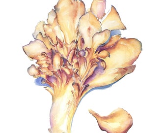 May include: A watercolor painting of a yellow and orange mushroom with a frilly, layered cap. The mushroom is painted in a realistic style, with delicate details and subtle shading.