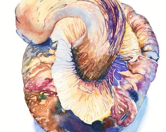 May include: A watercolor painting of a mushroom with a curled cap. The mushroom is a light brown color with purple and pink hues. The cap is curled over the stem, creating a unique shape.