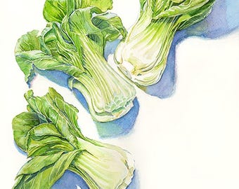 Bok Choy Joy, Vegetable Watercolor Archival Print