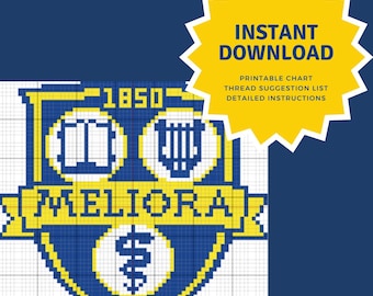 Cuadro de bordado en lienzo de la Universidad de Rochester (UR)