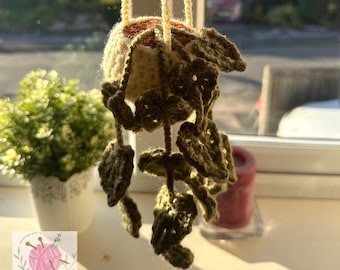 Crochet Hanging Monstera Plant - Customisable