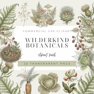 Könnte beinhalten: Ein digitales Clipart-Paket mit dem Titel "Wilderkind Botanicals" mit Aquarellillustrationen verschiedener Pflanzen, darunter Farne, Pilze, Disteln und Beeren. Das Design enthält den Text "Commercial Use Clipart" und "25 Transparent PNGs".