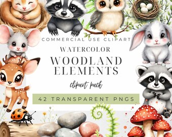 Aquarel boselementen clipart, schattige dieren clipart, bos bos, bos kwekerij, aquarel lente bosdieren png, wasbeer