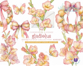 Gladiolus Flower Clipart, Botanical Gladiolus PNG, August Birth Flower Art, Floral Designs