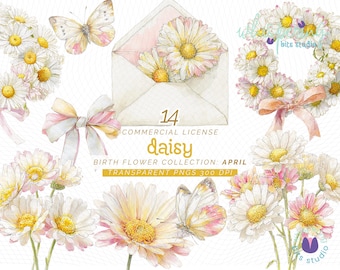 Watercolor Daisy Clipart, April Birth Flower PNG, Daisy Wildflower JPG, White Daisies Clip Art for Spring Wedding Designs, Botanical Floral