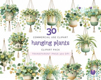 Hanging Plants Clipart Set, Watercolor Greenery PNG, Boho Plant Pot Clipart, Indoor Jungle Decor PNG, Houseplant Sublimation, Botanical PNGs