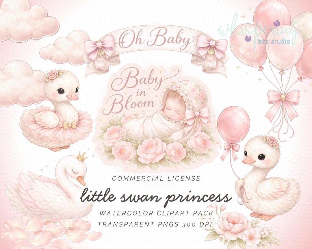 Swan Princess Clipart PNG Bundle, Baby Girl Swan Clipart, Pink Nursery ...