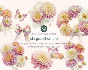 Clipart fleur de chrysanthème, novembre fleur de naissance PNG, Clipart floral aquarelle pour travaux manuels et décoration, usage Commercial