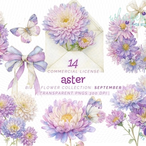 Puede incluir: Ilustraciones florales en acuarela con ásteres en morado, lavanda y crema. La imagen incluye mariposas, un lazo y un sobre. El texto dice "14 Commercial License aster" y "Flower Collection: September Transparent PNGs 300 DPI."