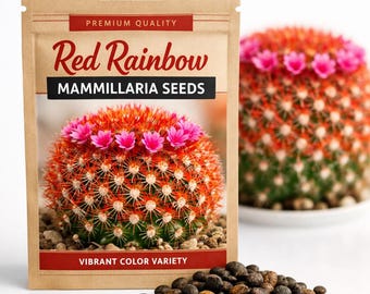 Red Rainbow Mammillaria Samen - Lebendige Bunte Kaktus Samen (1-3g)