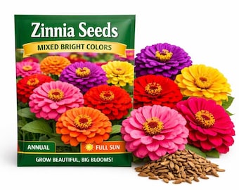 Zinnia Seeds: gemengde felle kleuren | Bloemzaden met grote dubbele bloei (1-3 g)
