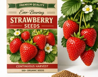 Sementes de morango de produção contínua – Fruto vermelho doce, colheita constante (1-3g)