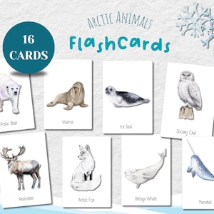 Montessori Arctic Animals Flashcards - Educational PDF for Kids | 16 Unique Arctic Wildlife Cards for Interactive Learning & Memory Games