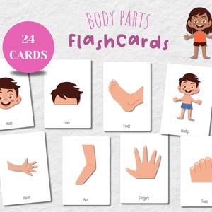 Tarjetas didácticas Montessori sobre las partes del cuerpo: PDF educativo para niños / 24 tarjetas con las partes del cuerpo para actividades preescolares y aprendizaje interactivo