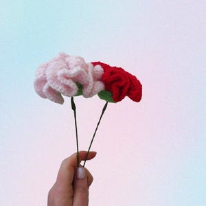 Valentinstag Häkelanleitung, Nelken Häkelanleitung, Blumen Häkelanleitung, Handgemachte Blume gehäkelt, Strauß Häkelanleitung, PDF Tutoria
