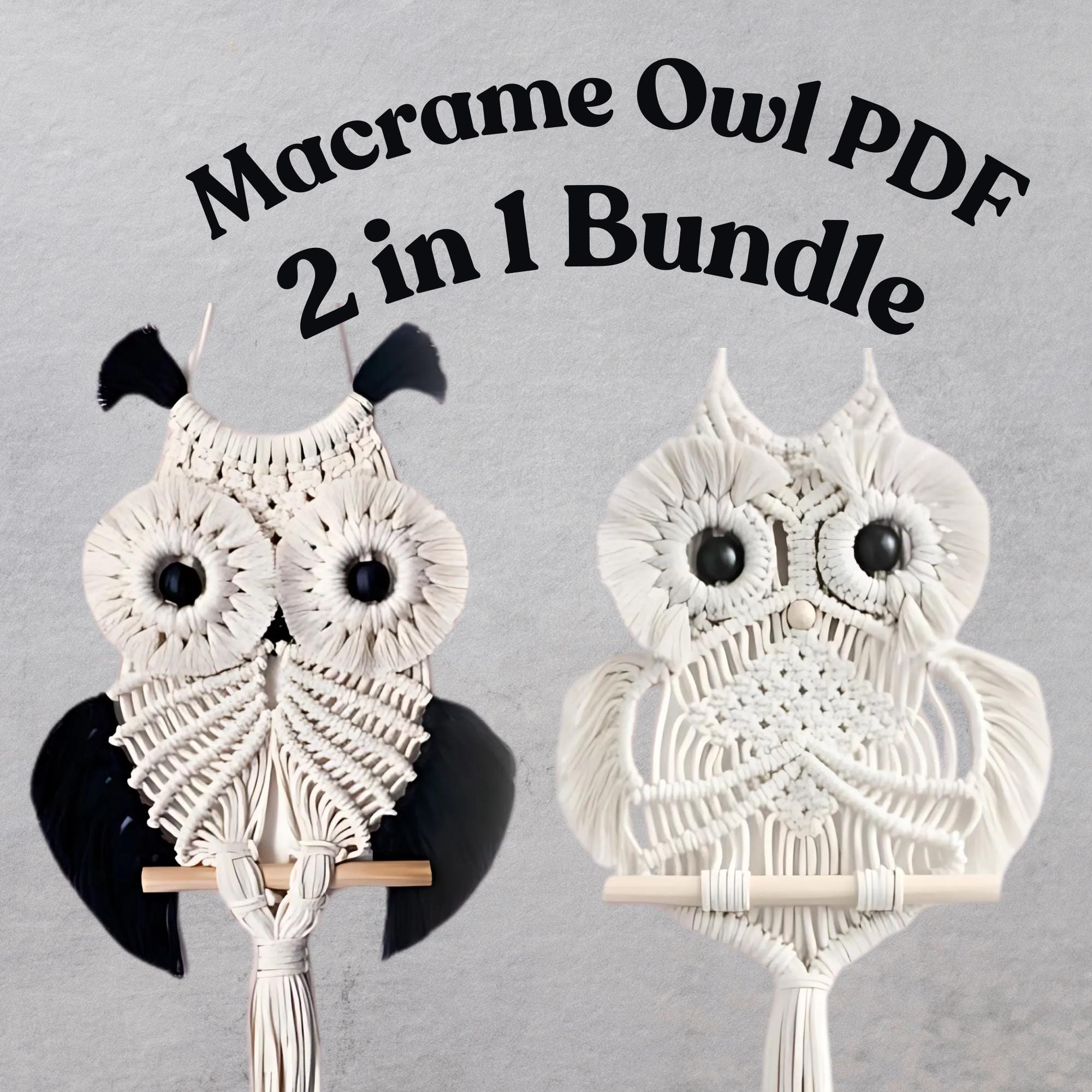 Macrame Owl Wall Hanging Pattern: 2-in-1 DIY Guide Macrame Pattern , Macrame Wall Hanging (PDF)