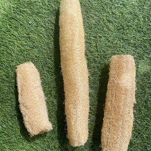 Loofah Sponge 3 Pcs, Organic Natural sponge Bath Sponge Loofah Body Scrubber Exfoliating Sponge Natural Cleaning