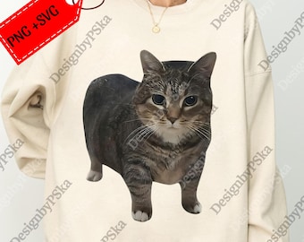 Oiia Oiia katt rolig snurrande kattmeme png, rolig kattmeme png, födelsedagspresent till min vän, kattmeme svg, dum katt png