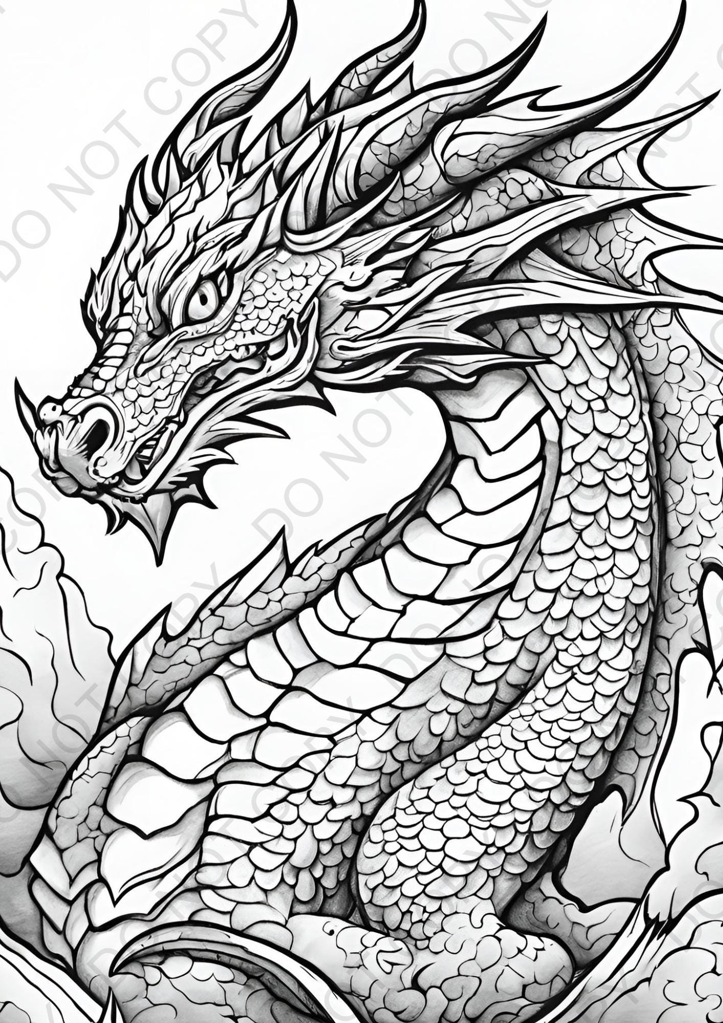 Enchanting Dragon Coloring Pages Etsy